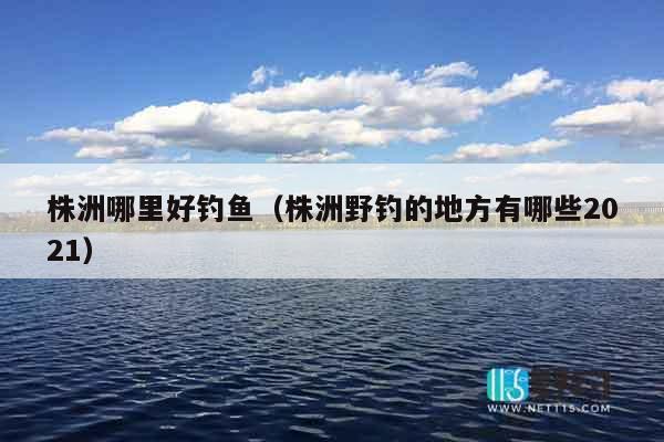 株洲哪里好钓鱼（株洲野钓的地方有哪些2021）