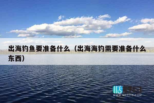 出海钓鱼要准备什么（出海海钓需要准备什么东西）