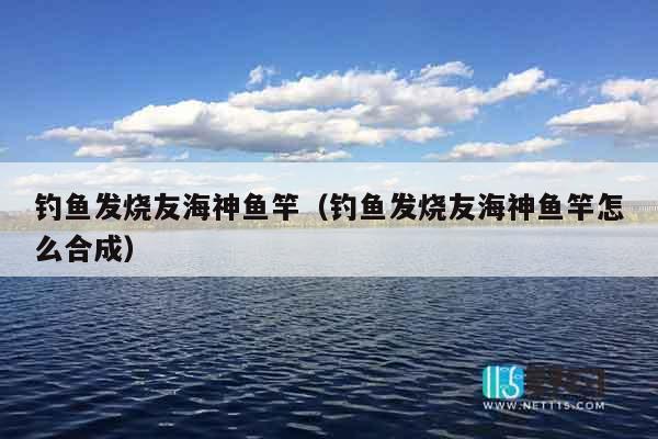 钓鱼发烧友海神鱼竿（钓鱼发烧友海神鱼竿怎么合成）