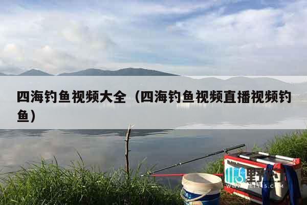 四海钓鱼视频大全（四海钓鱼视频直播视频钓鱼）