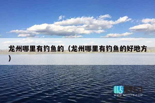 龙州哪里有钓鱼的（龙州哪里有钓鱼的好地方）