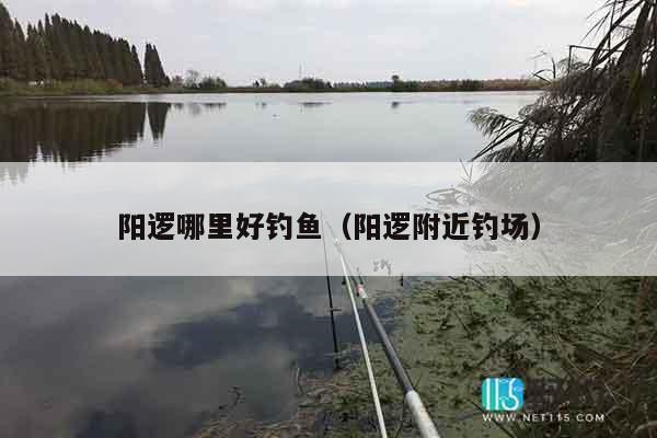 阳逻哪里好钓鱼（阳逻附近钓场）