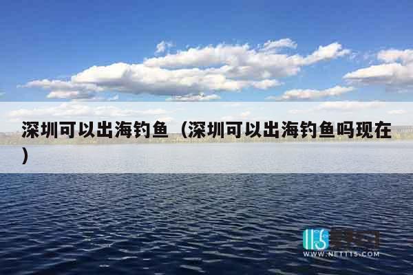 深圳可以出海钓鱼（深圳可以出海钓鱼吗现在）