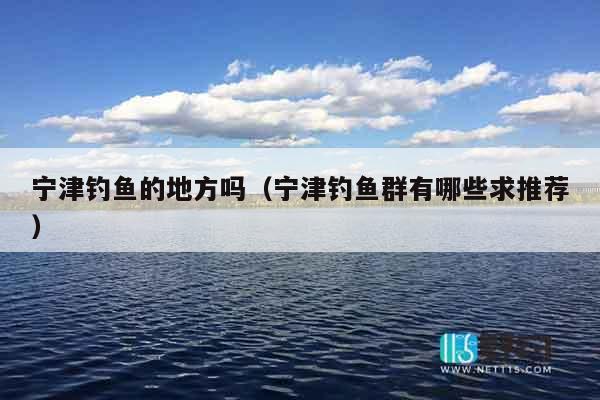 宁津钓鱼的地方吗（宁津钓鱼群有哪些求推荐）