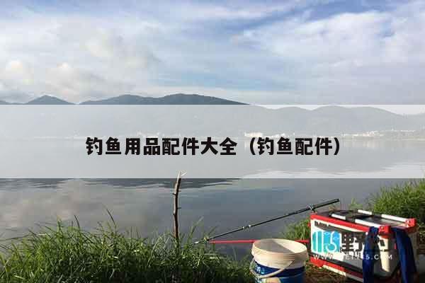 钓鱼用品配件大全（钓鱼配件）