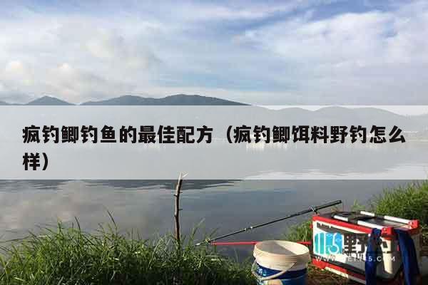 疯钓鲫钓鱼的最佳配方（疯钓鲫饵料野钓怎么样）