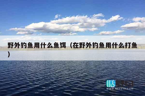 野外钓鱼用什么鱼饵（在野外钓鱼用什么打鱼）