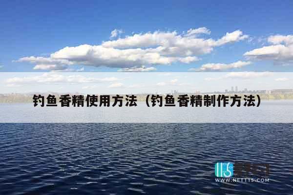 钓鱼香精使用方法（钓鱼香精制作方法）
