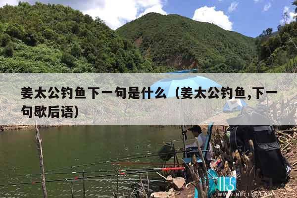 姜太公钓鱼下一句是什么（姜太公钓鱼,下一句歇后语）