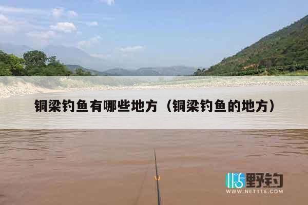 铜梁钓鱼有哪些地方（铜梁钓鱼的地方）