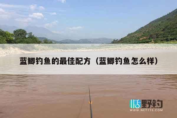 蓝鲫钓鱼的最佳配方（蓝鲫钓鱼怎么样）