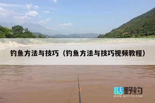钓鱼方法与技巧（钓鱼方法与技巧视频教程）