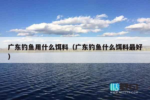 广东钓鱼用什么饵料（广东钓鱼什么饵料最好）