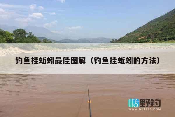 钓鱼挂蚯蚓最佳图解（钓鱼挂蚯蚓的方法）