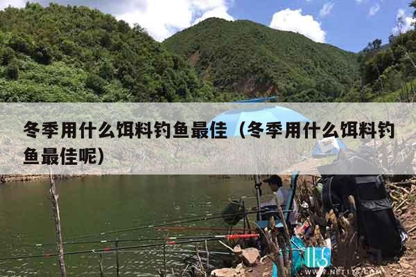 冬季用什么饵料钓鱼最佳（冬季用什么饵料钓鱼最佳呢）