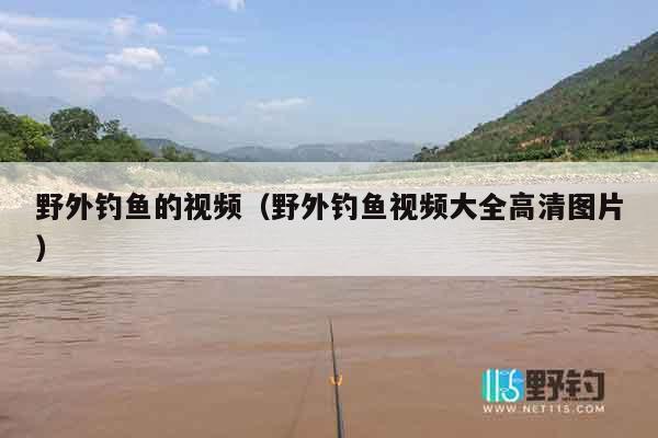 野外钓鱼的视频（野外钓鱼视频大全高清图片）