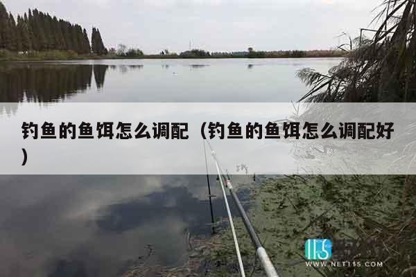 钓鱼的鱼饵怎么调配（钓鱼的鱼饵怎么调配好）