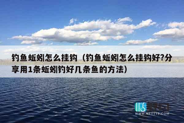 钓鱼蚯蚓怎么挂钩（钓鱼蚯蚓怎么挂钩好?分享用1条蚯蚓钓好几条鱼的方法）