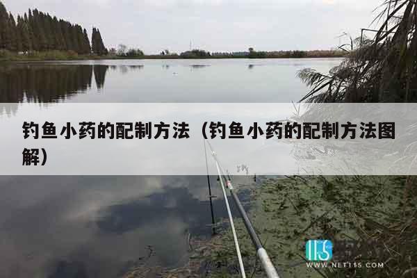 钓鱼小药的配制方法（钓鱼小药的配制方法图解）