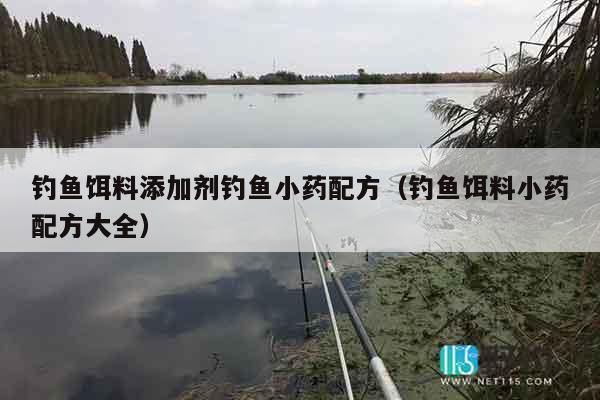 钓鱼饵料添加剂钓鱼小药配方（钓鱼饵料小药配方大全）
