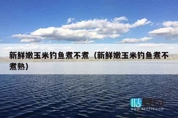 新鲜嫩玉米钓鱼煮不煮（新鲜嫩玉米钓鱼煮不煮熟）