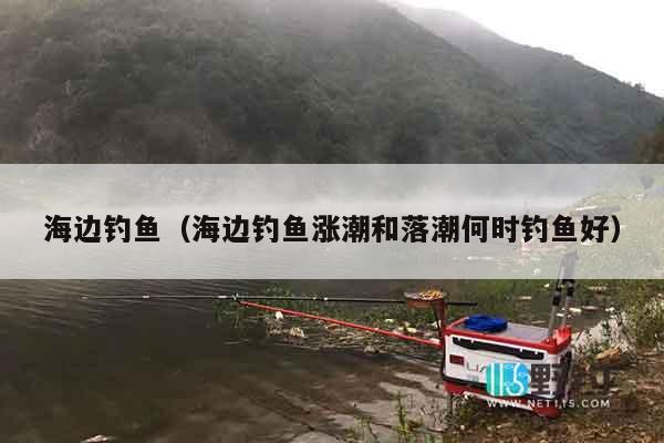 海边钓鱼（海边钓鱼涨潮和落潮何时钓鱼好）