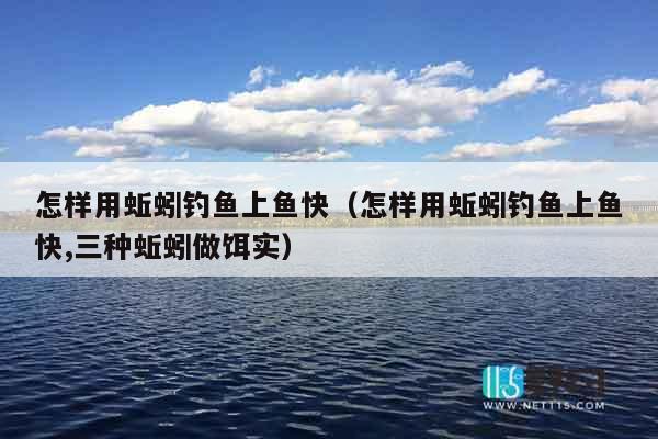 怎样用蚯蚓钓鱼上鱼快（怎样用蚯蚓钓鱼上鱼快,三种蚯蚓做饵实）