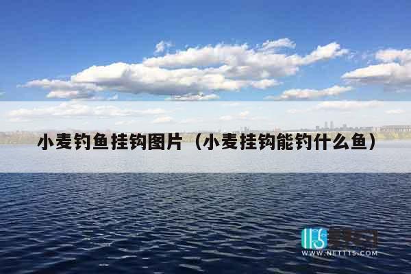 小麦钓鱼挂钩图片（小麦挂钩能钓什么鱼）