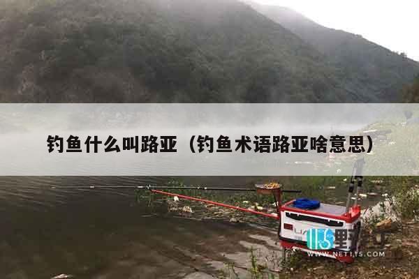 钓鱼什么叫路亚（钓鱼术语路亚啥意思）