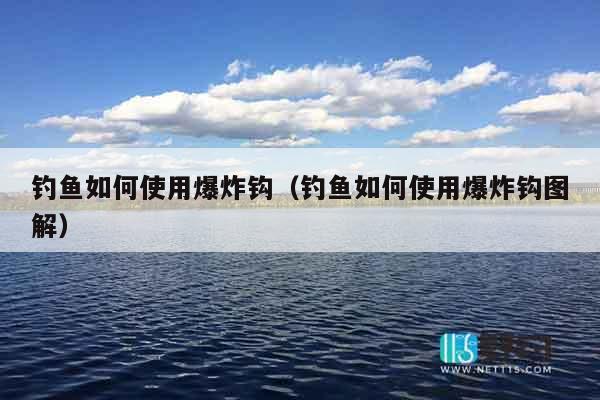 钓鱼如何使用爆炸钩（钓鱼如何使用爆炸钩图解）