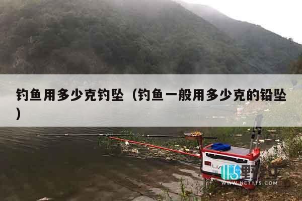 钓鱼用多少克钓坠（钓鱼一般用多少克的铅坠）