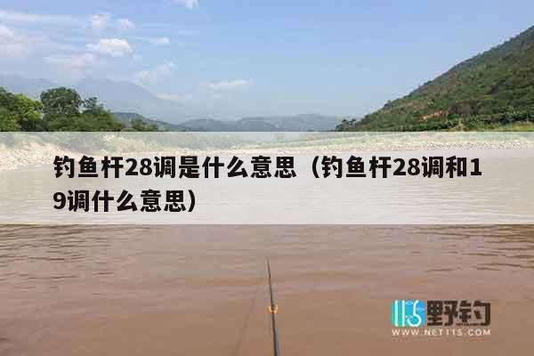 钓鱼杆28调是什么意思（钓鱼杆28调和19调什么意思）