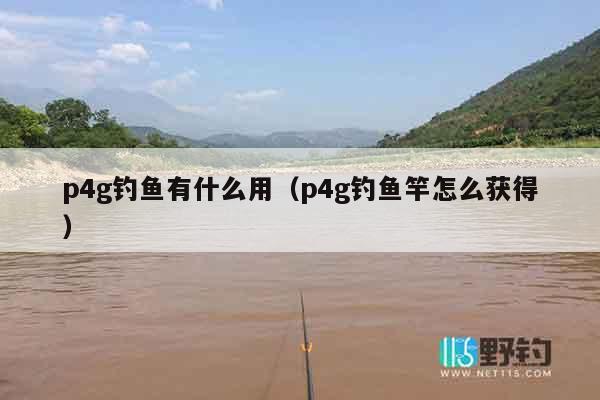 p4g钓鱼有什么用（p4g钓鱼竿怎么获得）