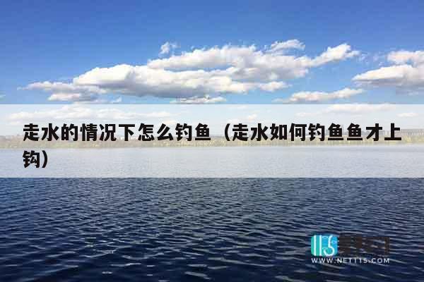 走水的情况下怎么钓鱼（走水如何钓鱼鱼才上钩）