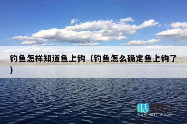 钓鱼怎样知道鱼上钩（钓鱼怎么确定鱼上钩了）