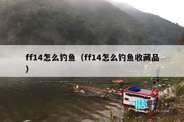 ff14怎么钓鱼（ff14怎么钓鱼收藏品）