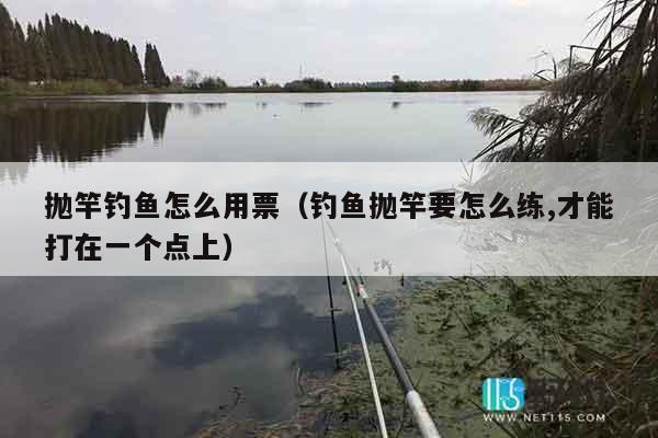 抛竿钓鱼怎么用票（钓鱼抛竿要怎么练,才能打在一个点上）