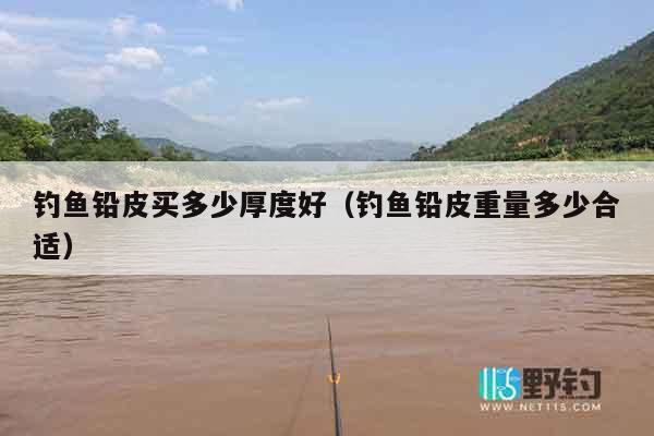 钓鱼铅皮买多少厚度好（钓鱼铅皮重量多少合适）
