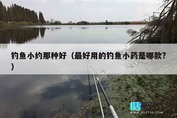 钓鱼小约那种好（最好用的钓鱼小药是哪款?）