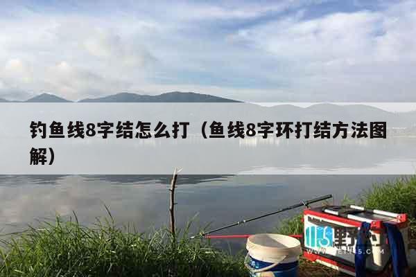 钓鱼线8字结怎么打（鱼线8字环打结方法图解）