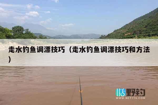 走水钓鱼调漂技巧（走水钓鱼调漂技巧和方法）