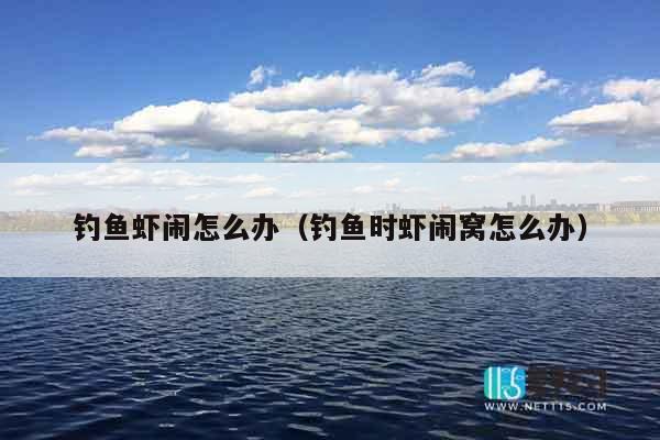 钓鱼虾闹怎么办（钓鱼时虾闹窝怎么办）