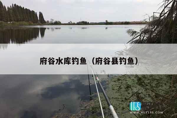 府谷水库钓鱼(府谷县钓鱼)