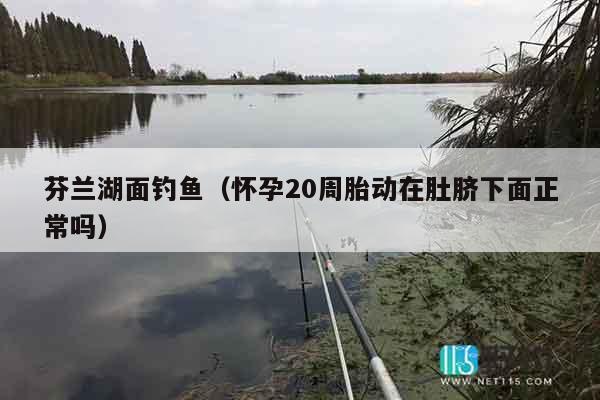 芬兰湖面钓鱼（怀孕20周胎动在肚脐下面正常吗）