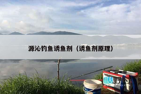 源沁钓鱼诱鱼剂（诱鱼剂原理）