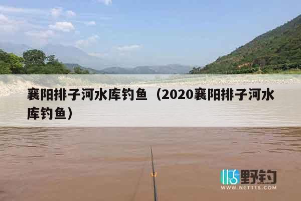 襄阳排子河水库钓鱼（2020襄阳排子河水库钓鱼）