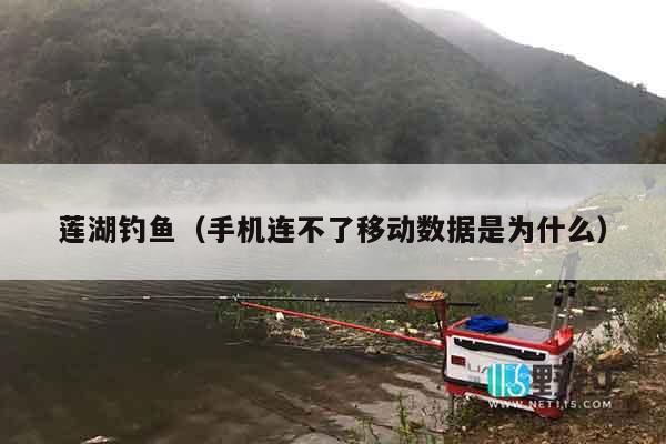 莲湖钓鱼（手机连不了移动数据是为什么）