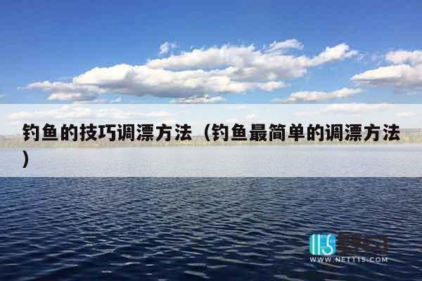 钓鱼的技巧调漂方法（钓鱼最简单的调漂方法）