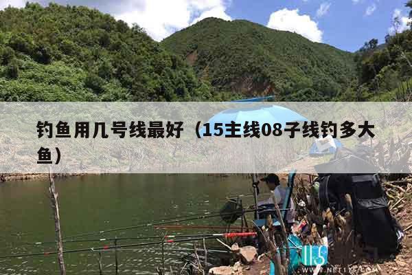 钓鱼用几号线最好（15主线08子线钓多大鱼）