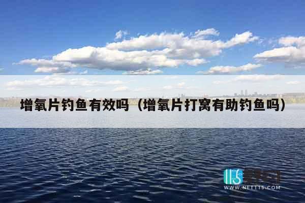 增氧片钓鱼有效吗（增氧片打窝有助钓鱼吗）